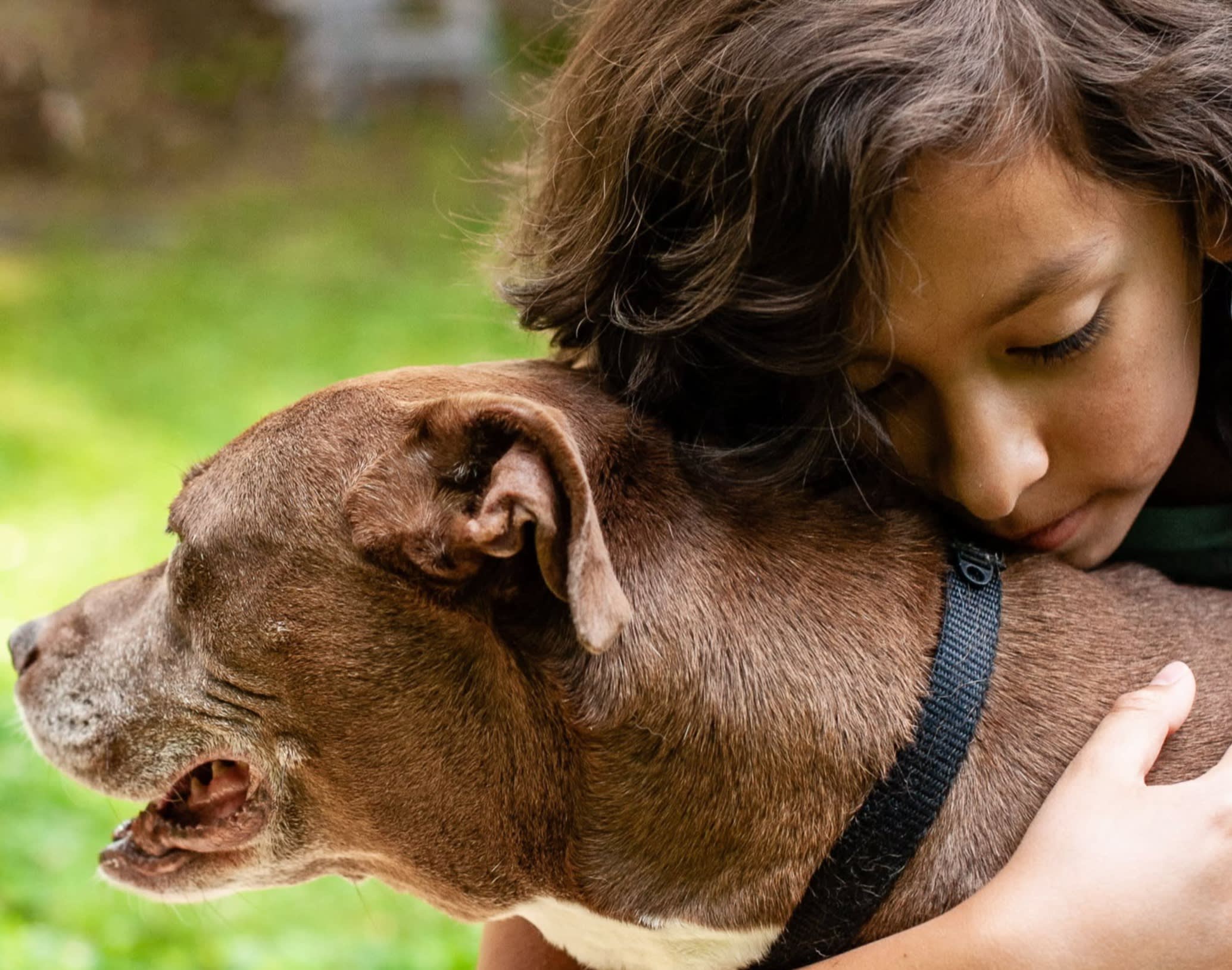 Pet Aftercare Do’s and Don’ts: What to Do After Your Pet Passes Away
