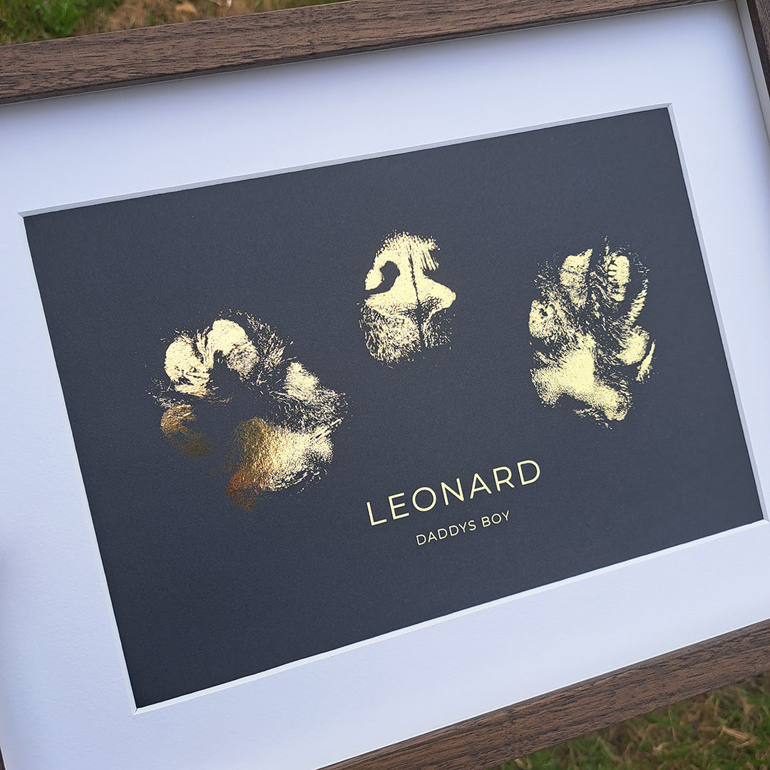 Lovfur® Pet Paw & Nose Foil Print