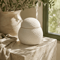 Load image into Gallery viewer, LovFur™ Snowmelt Mycelium Pet Urn
