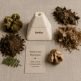 Load image into Gallery viewer, LovFur™ Eternal Pyramid Mycelium Urn

