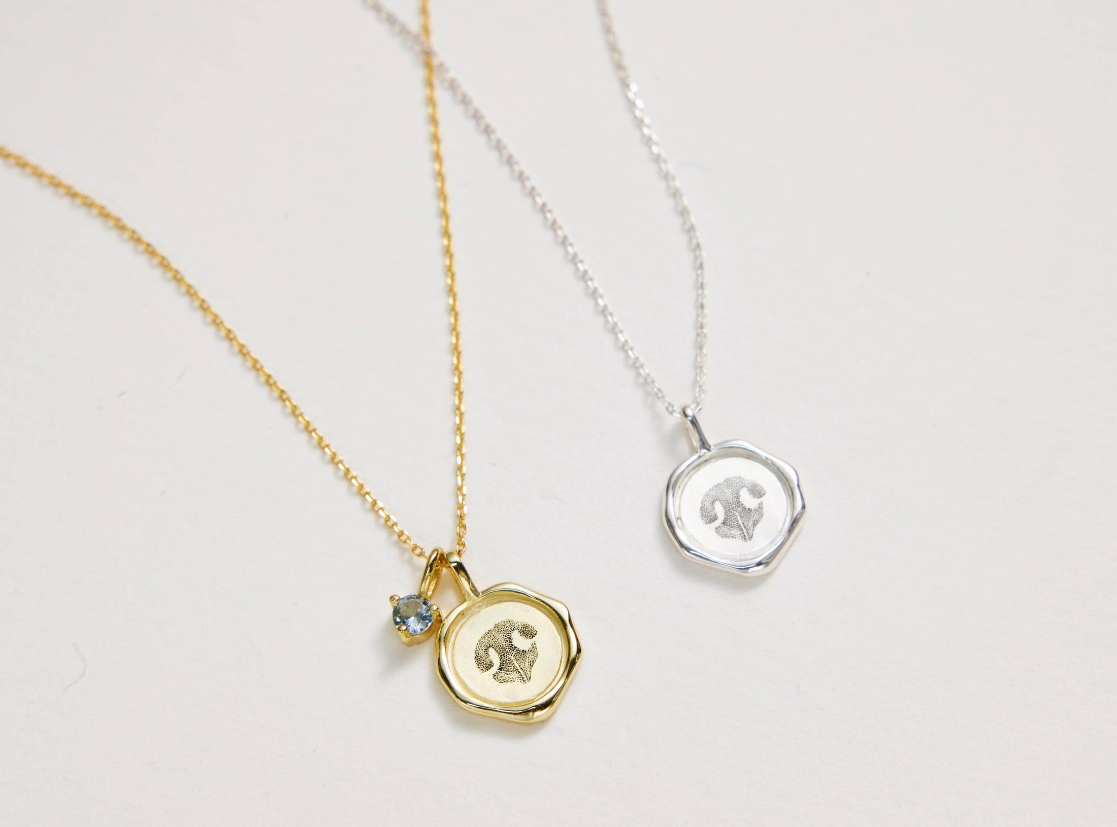 LovFur™ Custom Pet Nose Print Memorial Necklace
