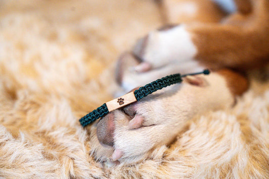 LovFur™ Custom Pet Paw Print Bracelet