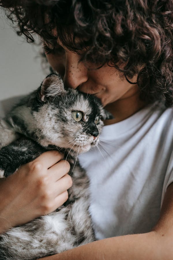lovfur